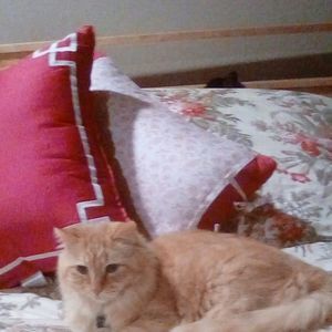 Meet your Posher, Deby